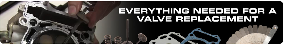 Everything needed for a valve replacement